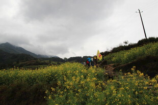 山间徒步者穿行于花草间