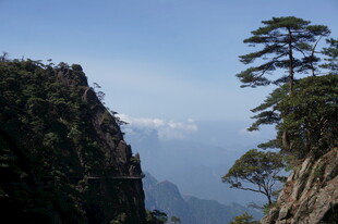 峻峭山峰边的挺拔松树