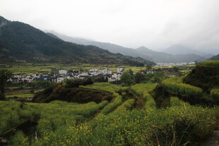 山间村落 绿野环绕的美景