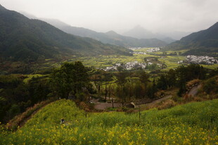山间油菜田中的静谧村落