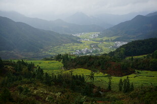 山间绿野中的宁静村落