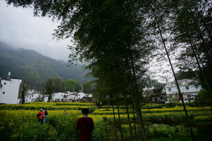 山间田园风光 游人漫步