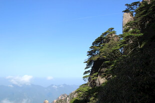 峻岭青山间的葱郁景致