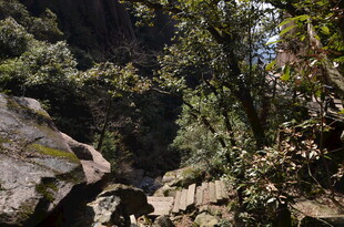 山间绿意盎然的自然景致