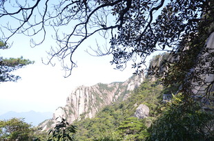 山间景致 绿树与峭壁相衬