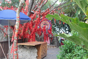 祈福树旁的祈愿场景