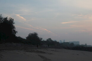 黄昏下的空旷道路与树木