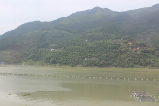 山水相依的宁静自然景观