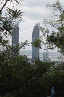 透过枝叶望城市高楼