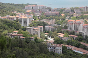 俯瞰绿树环绕的居民区