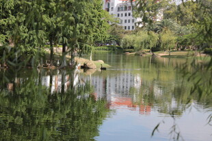 湖畔绿树环绕的静谧景致