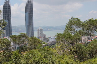 城市高楼与繁茂绿植景观