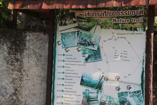 户外环保宣传海报展示