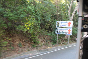 路边指示牌与繁茂植被