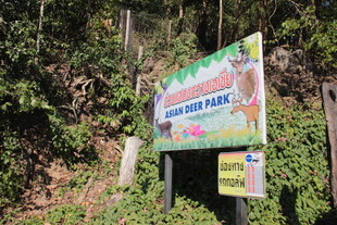 山林中的彩色指示标牌