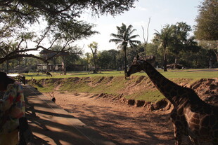 户外土路旁的休闲场景