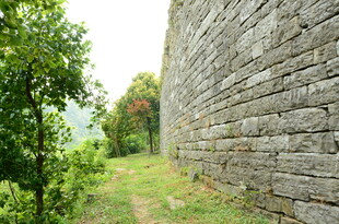 古老石墙旁的绿意景致