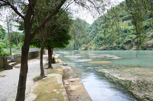 河畔绿树成荫的秀丽风光