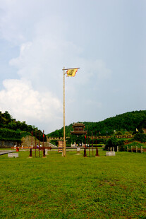 草原上的高杆与开阔风景