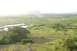 田园风光 绿意盎然的田野