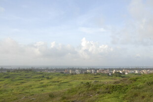 绿野之上的城市远景