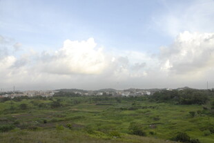 广阔绿野与天际白云景观