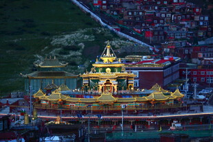 藏地华丽金顶佛塔夜景