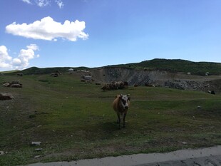 草原上的骑行者