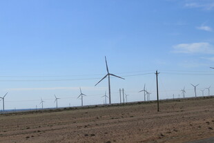 广袤田野上的风力发电机组