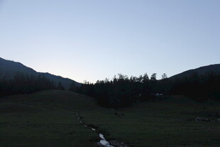 山间暮色中的草地与林木