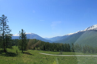 山间绿野 远观巍峨雪山