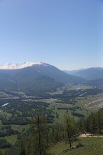 山间美景 绿意与雪山相映