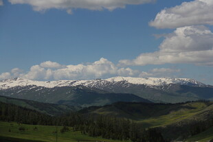 雪山下的葱郁山林美景