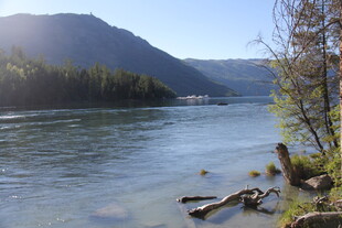 河畔风光 宁静自然景致