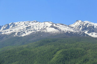 雪山下的葱郁山林