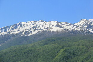 雪山下的翠绿山林
