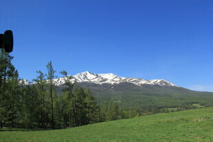 青山绿树间的雪山美景