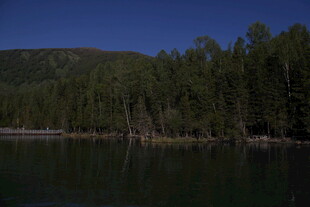 宁静湖畔森林美景