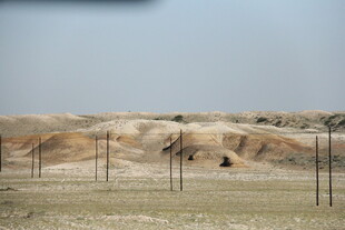 草原上的鸵鸟与围栏