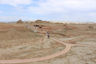 荒漠中的蜿蜒小径