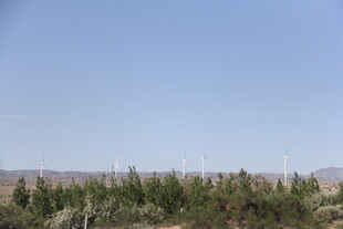 蓝天绿树风景图