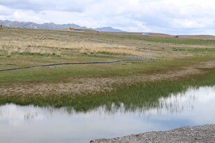 草原边的宁静水域
