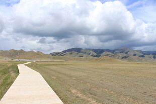 草原上的蜿蜒小路