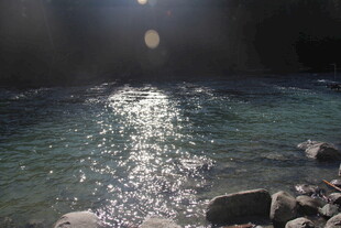 阳光洒落波光粼粼的水面