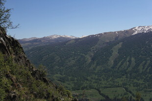 高山绿野风景图