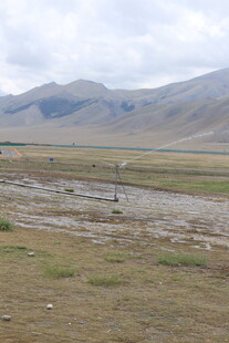 草原湿地与远处山峦景观