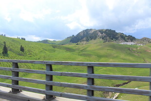 山间绿野木栏风景