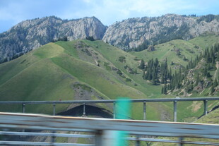 公路旁的青山绿意景观