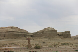 荒漠中的奇特土丘景观