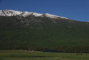 雪山下的翠绿草原风光